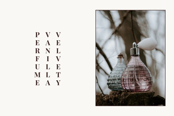 velvety vanilla perfume
